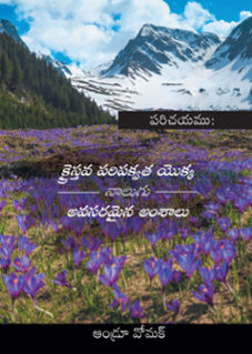 FOUR ESSENTIAL ELEMENTS OF CHRISTIAN MATURITY [TELUGU]- BOOKLET