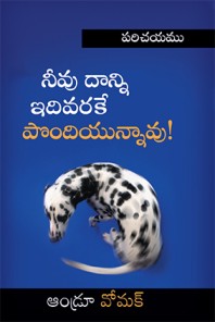 Introduction to You have already got it Telugu - TE120