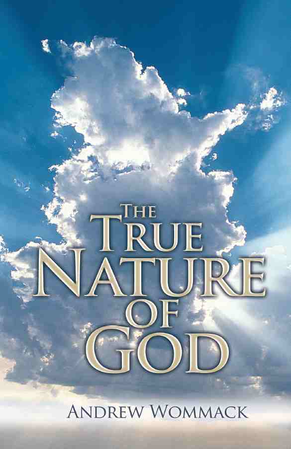 The True Nature of God (English)308