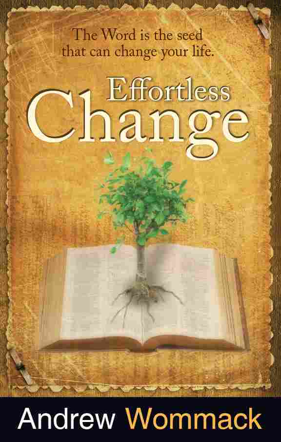 Effortless Change (English) 331