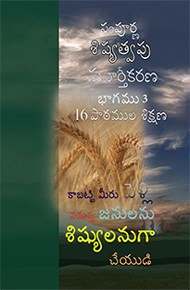 Discipleship Evangelism Course - LEVEL 3 (Telugu) TE417-L3
