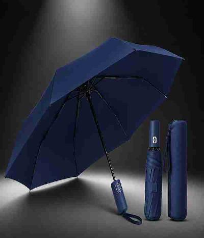 Customizable Umbrella - Royal